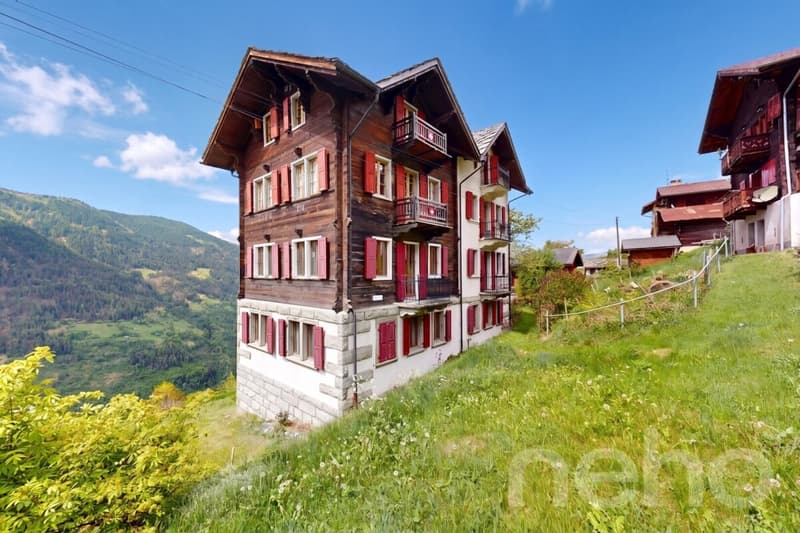 Superbe duplex traversant avec potentiel locatif (3)