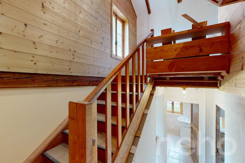 Superbe duplex traversant avec potentiel locatif (11)