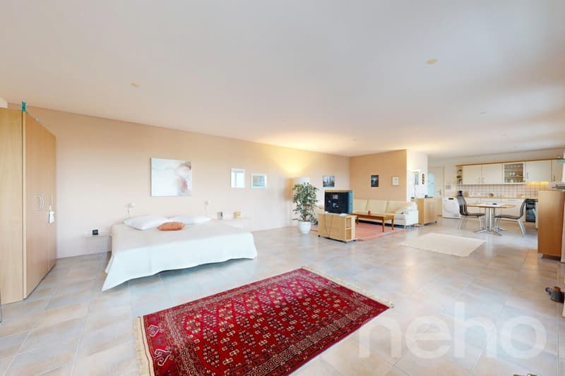 Bright 1.5-room apartment with a far-reaching view in Kriens (8)