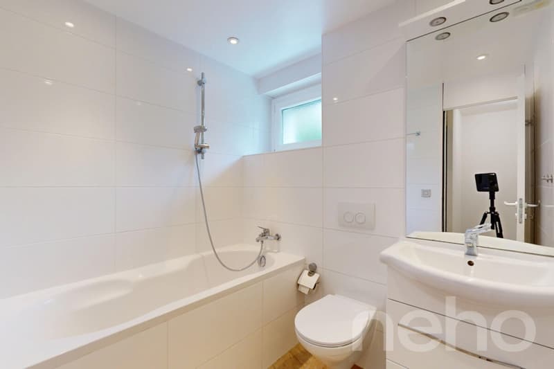 Renovated 3.5-room apartment with large private terrace (8)