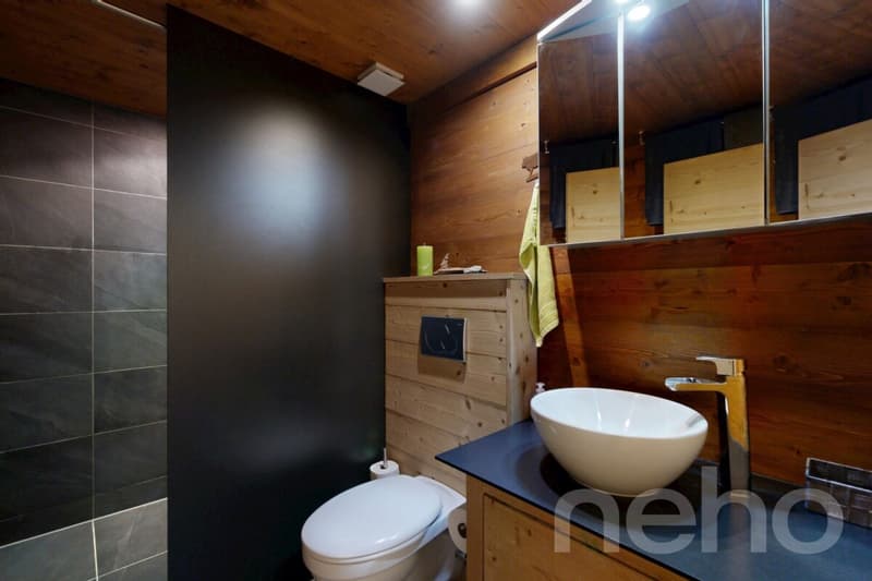 Ground floor apartment with 4 rooms and private garden at the foot of the slopes (5)