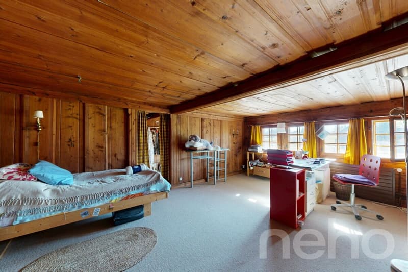 Spacious house with great potential in a peaceful setting (8)