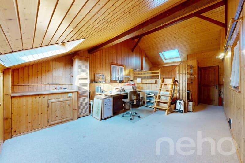 Spacious house with great potential in a peaceful setting (7)