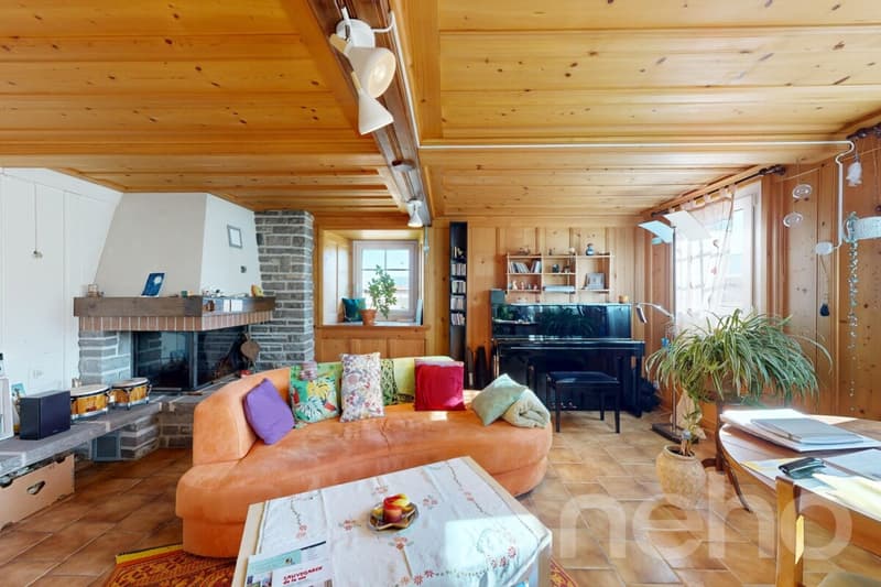 Spacious house with great potential in a peaceful setting (4)