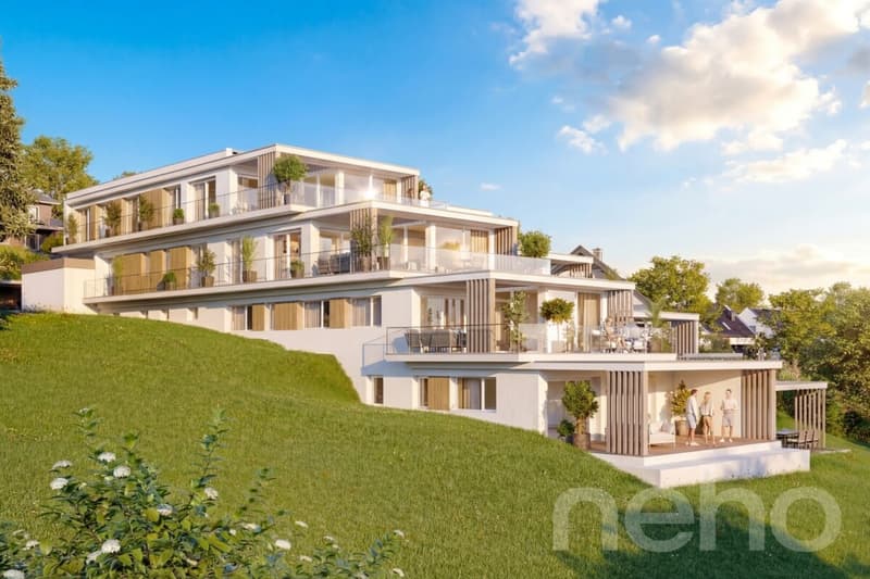 Apartment 3.5 rooms with terrace ? luxury and design (1)