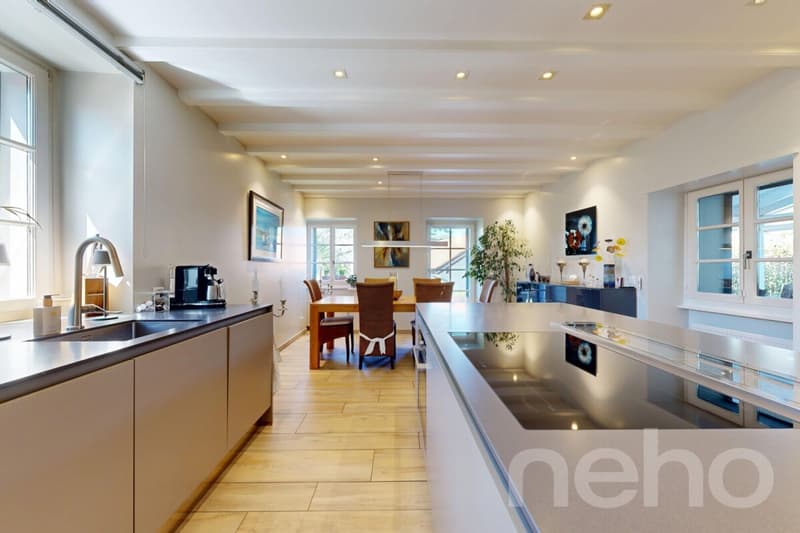 Elegance and comfort in a family house with garden in Satigny (4)