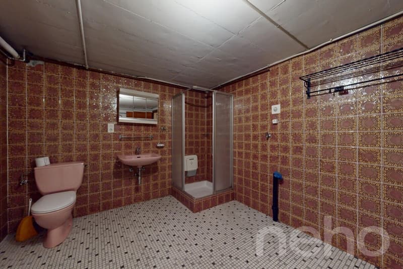 Family Villa 5.5 rooms - Residential area - St-Maurice (11)