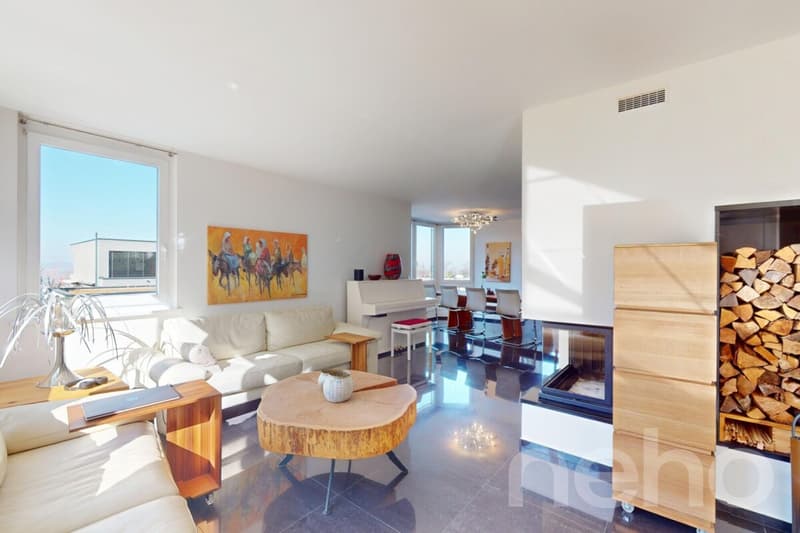 Modern 7-room single-family home in top location (4)