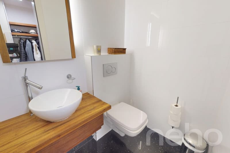 Modern 7-room single-family home in top location (7)