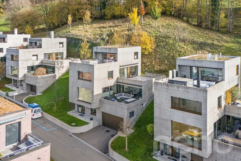 Exclusive Residence in St. Gallen - Modern Living with Panoramic View (11)