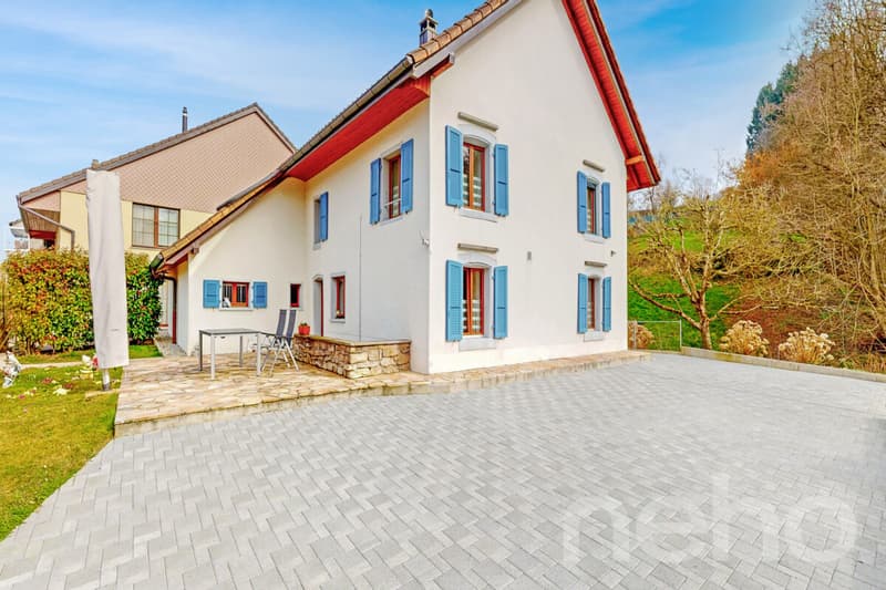Beautiful individual villa with separate workshop (3)