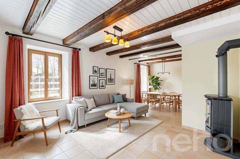 Beautiful individual villa with separate workshop (4)