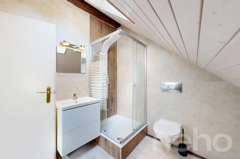 Large bright and well-arranged 3.5 room duplex (9)