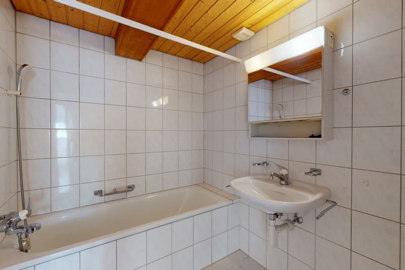Multi-generation house with 3 apartments and development potential (11)