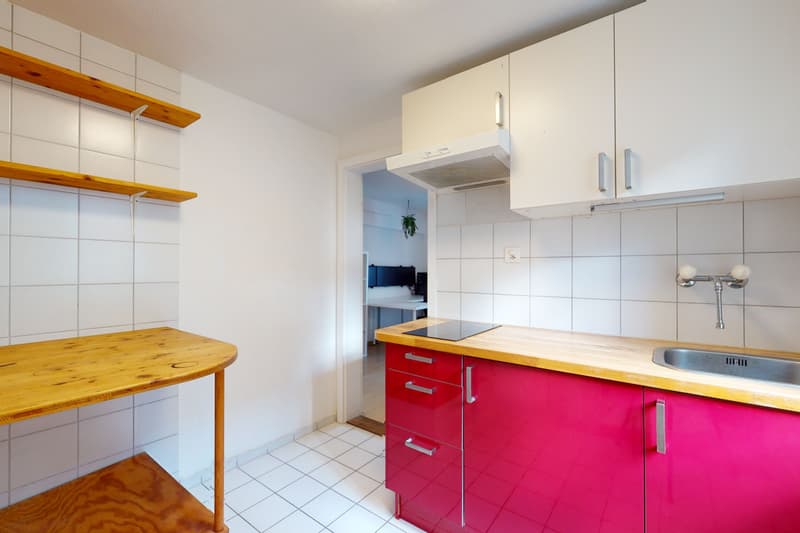 Multi-generation house with 3 apartments and development potential (7)