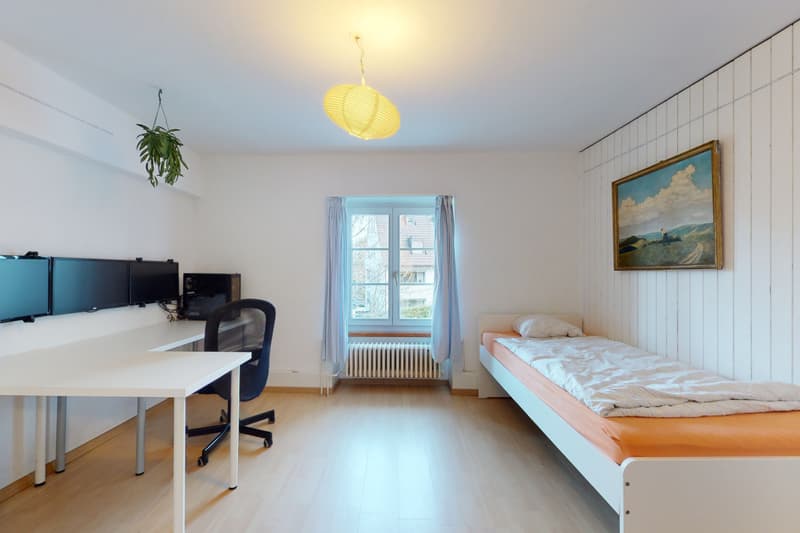Multi-generation house with 3 apartments and development potential (8)