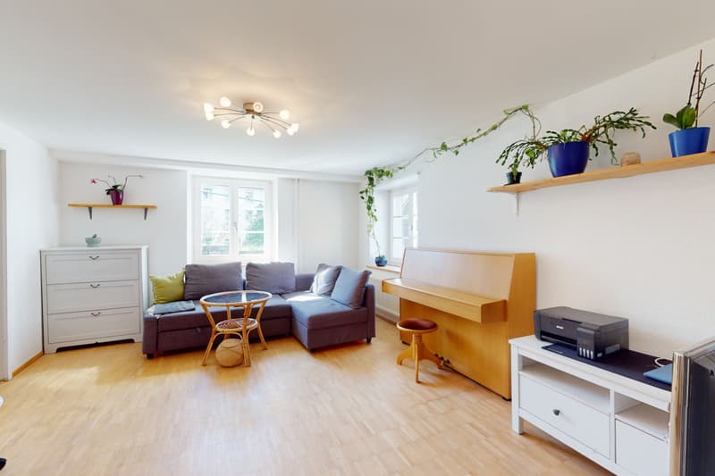 Multi-generation house with 3 apartments and development potential (1)