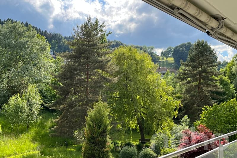 Appartement lumineux 3.5 pièces avec balcon et belle vue (11)