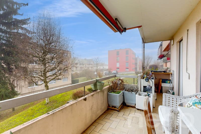 2 apartments ideally located (4)