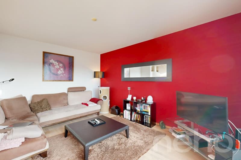 Magnifique duplex de 5,5 pièces à Epalinges (3)