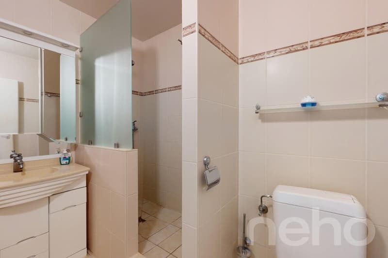 Gland, large 5.5 rooms, bright and comfortable near the lake (11)