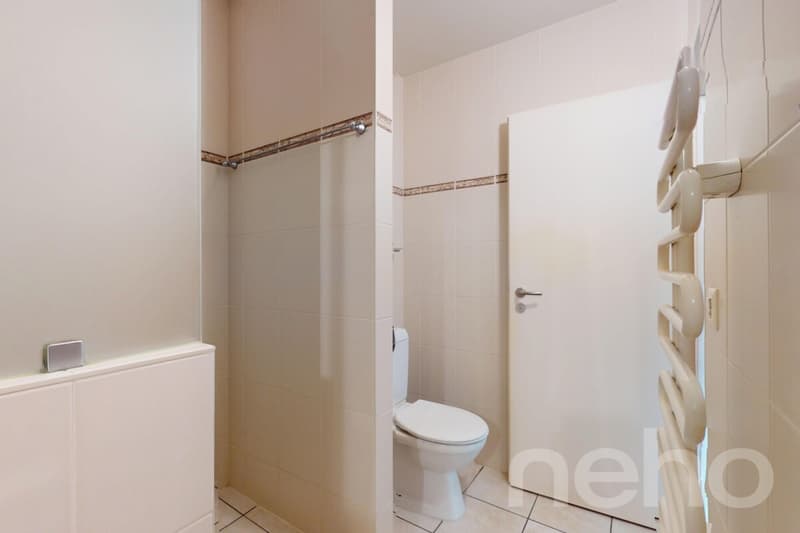 Gland, large 5.5 rooms, bright and comfortable near the lake (12)