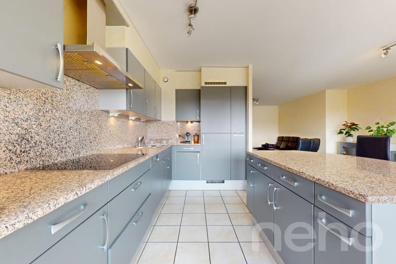 Gland, large 5.5 rooms, bright and comfortable near the lake (4)