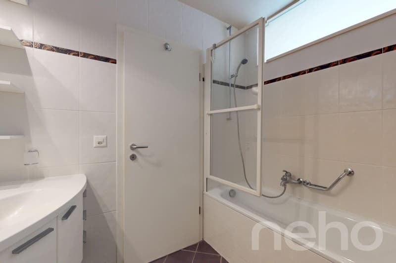 Gland, large 5.5 rooms, bright and comfortable near the lake (10)