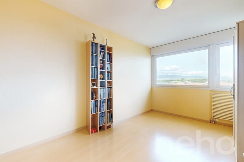 Gland, large 5.5 rooms, bright and comfortable near the lake (7)