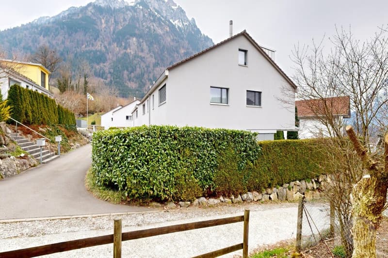 House with garden in a quiet location (12)