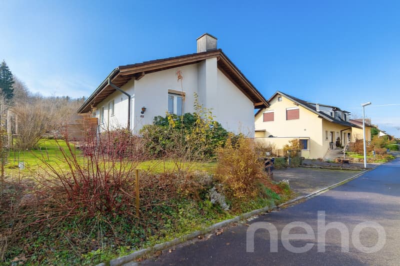 Maison unifamiliale avec grand jardin, verger et étang (11)