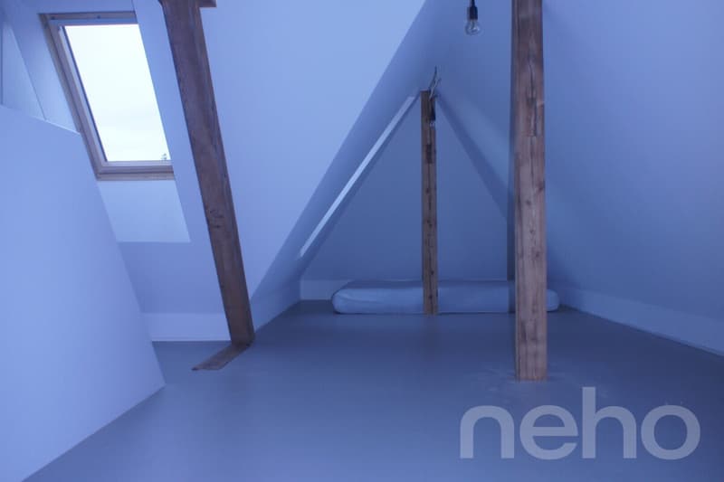 Charming studio with visible wooden beams at Wettsteinplatz (4)