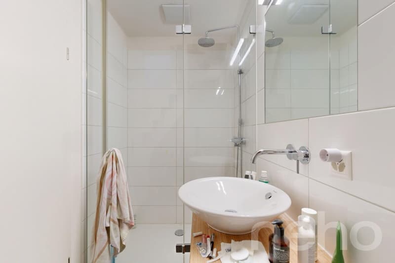 Charming studio with visible wooden beams at Wettsteinplatz (3)