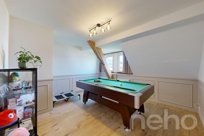 Beautiful individual renovated house (8)