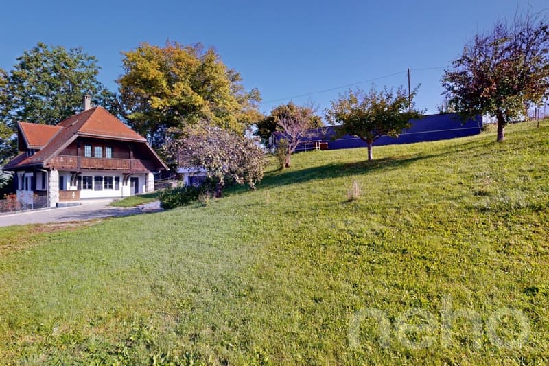 Beautiful individual renovated house (11)