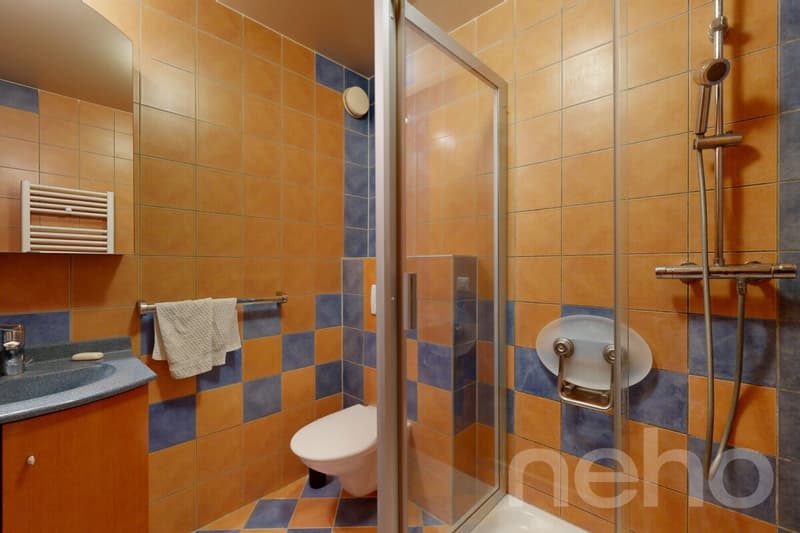 Apartment with panoramic views of the lake and the Alps, close to the center (12)