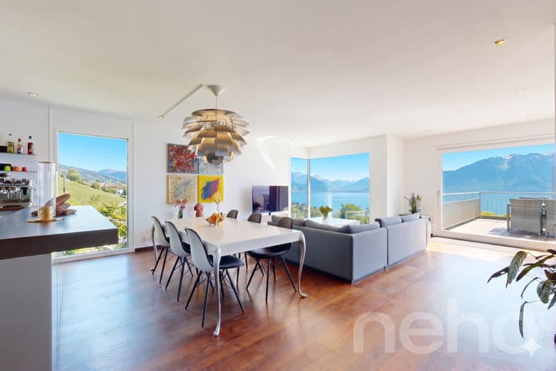 Vue panoramique d?exception au c?ur du Lavaux à La Conversion (5)
