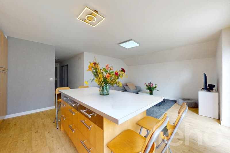 Top floor in Territet, with charm and view of the lake and the Alps (5)