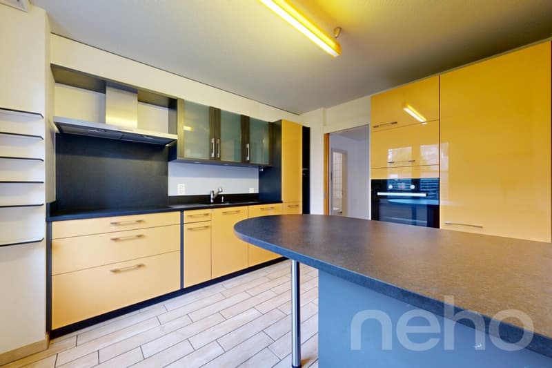 Large 4.5-room apartment on the ground floor (4)