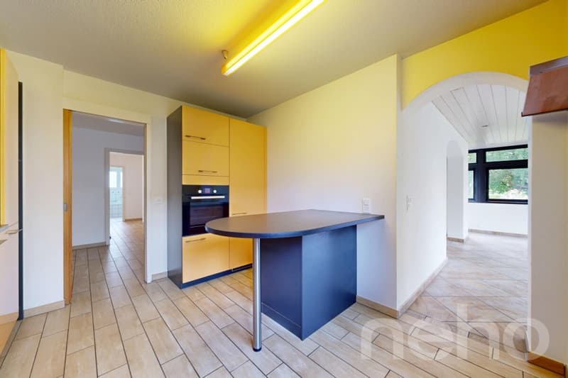 Large 4.5-room apartment on the ground floor (12)