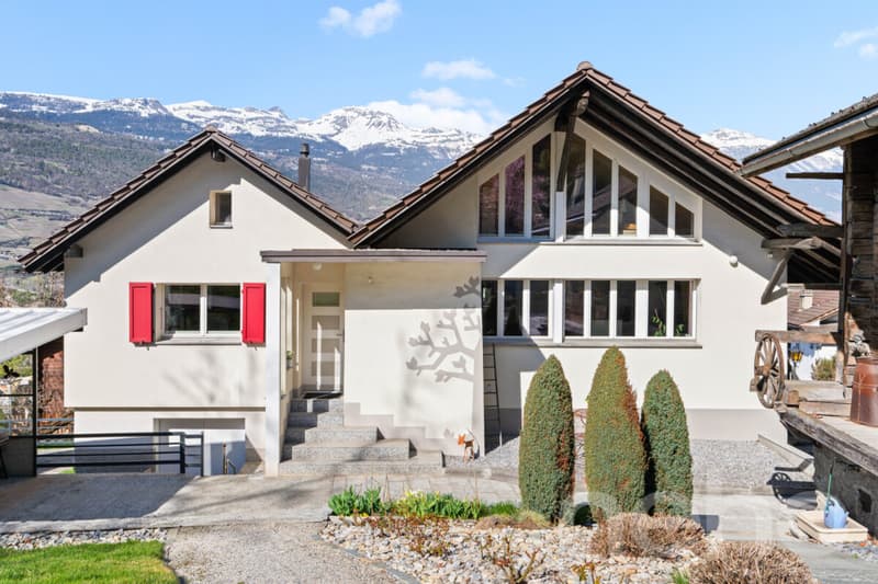Exceptional Real Estate Ensemble: Architect's House + Raccard + Commercial Spaces (2)