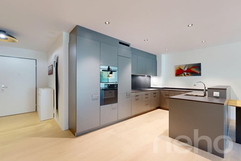 Modern 4.5 room apartment with a view of the green (3)