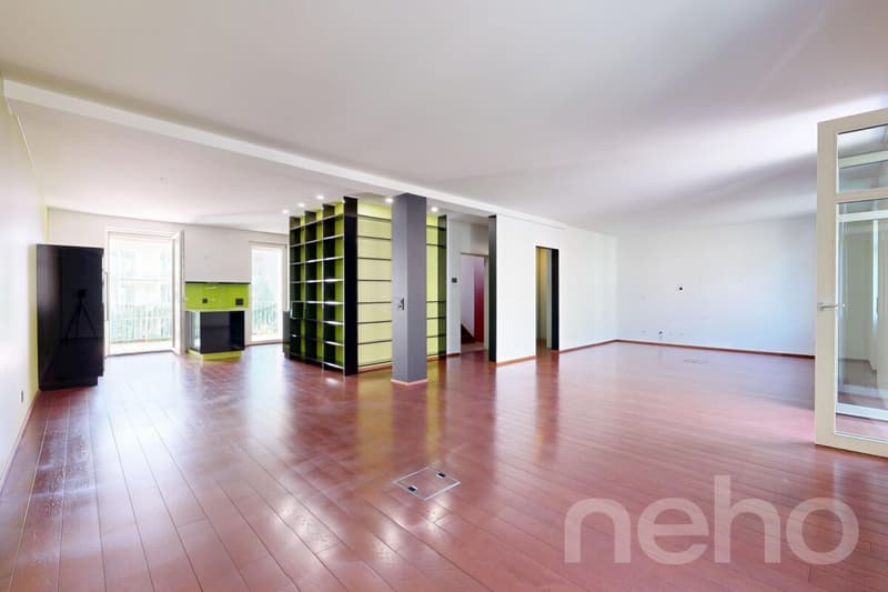 Urban loft living with two balconies in the heart of Basel (2)