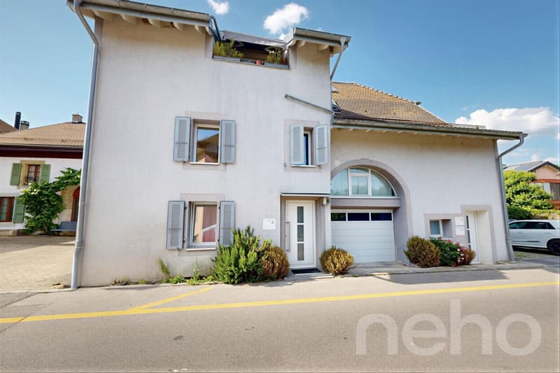 Magnificent fully renovated duplex (3)