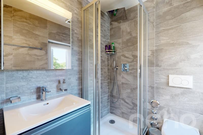 Magnificent fully renovated duplex (10)