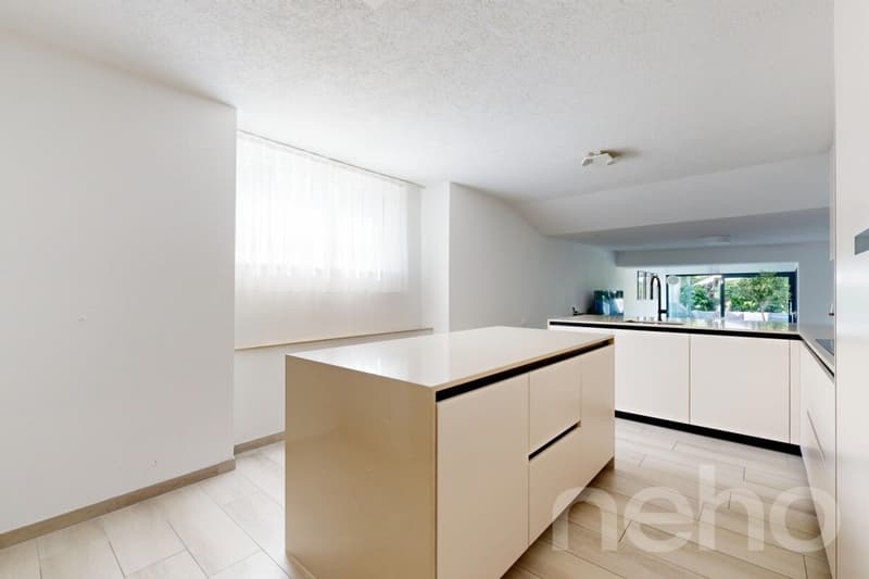 Magnificent fully renovated duplex (8)