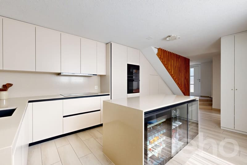 Magnificent fully renovated duplex (7)