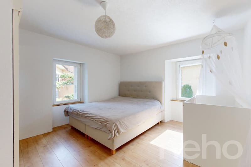 Magnificent fully renovated duplex (9)