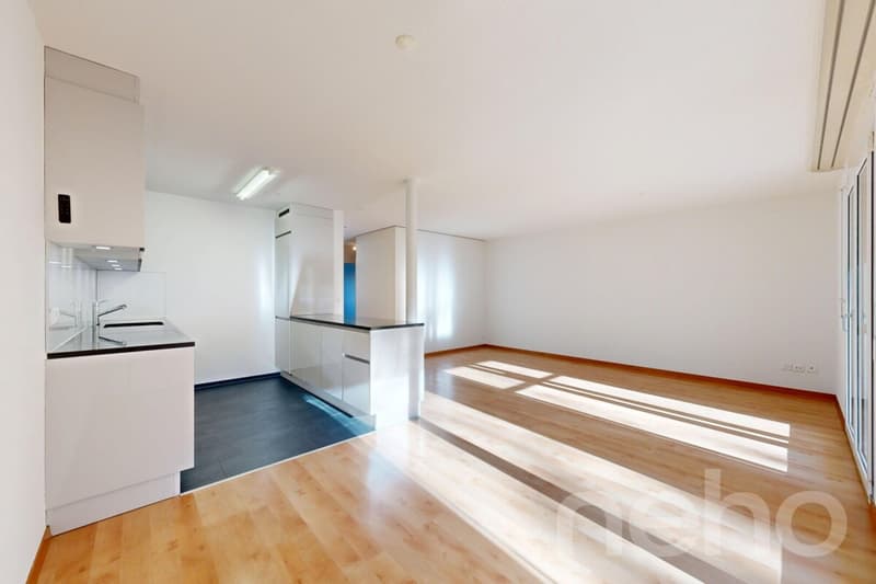 Appartement de 3,5 pièces lumineux à Samstagern (3)