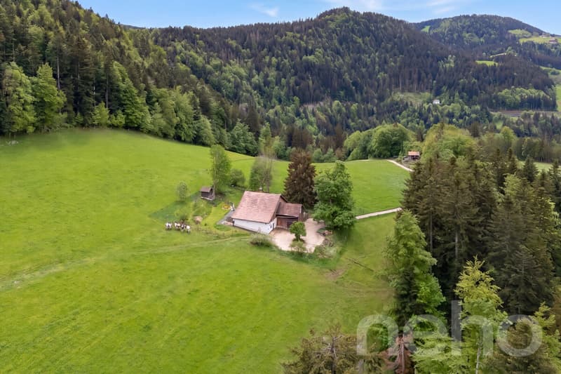 Renovated 1640 Farmhouse: 2 Apartments + Huge Barn with Great Potential (3)